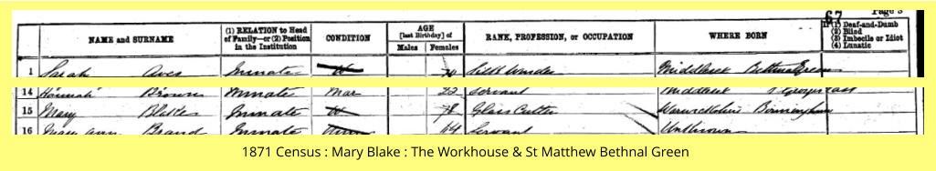 1871 Census : Mary Blake : The Workhouse & St Matthew Bethnal Green