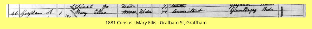 1881 Census : Mary Ellis : Grafham St, Graffham