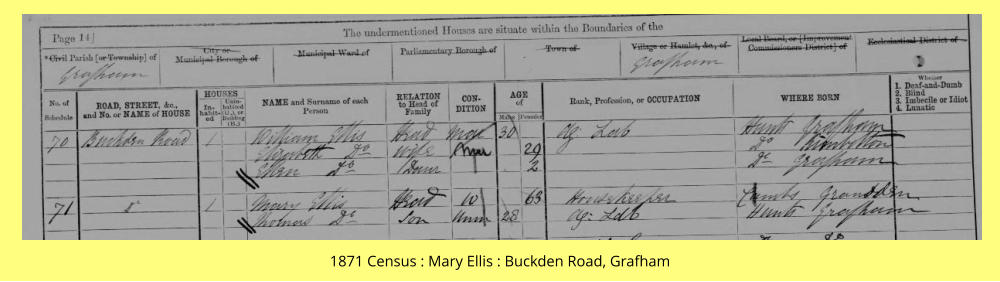 1871 Census : Mary Ellis : Buckden Road, Grafham