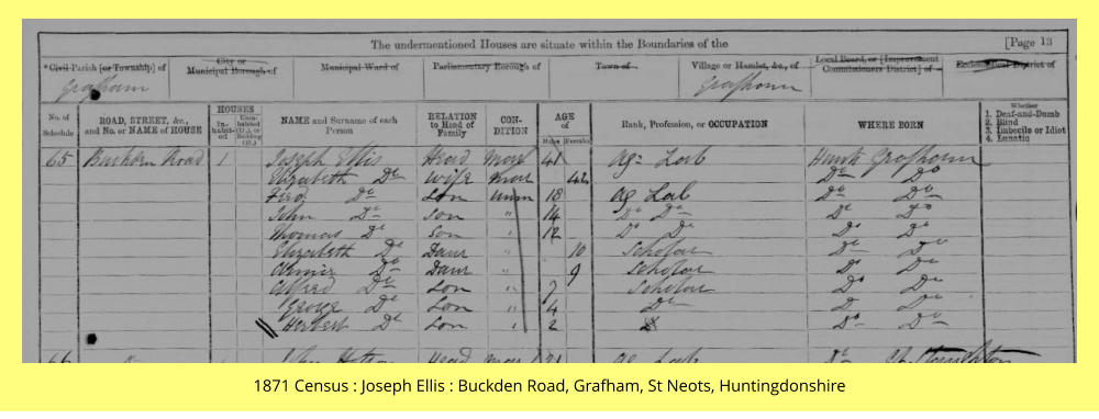 1871 Census : Joseph Ellis : Buckden Road, Grafham, St Neots, Huntingdonshire