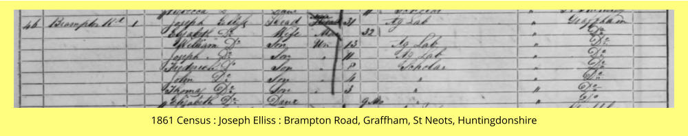 1861 Census : Joseph Elliss : Brampton Road, Graffham, St Neots, Huntingdonshire