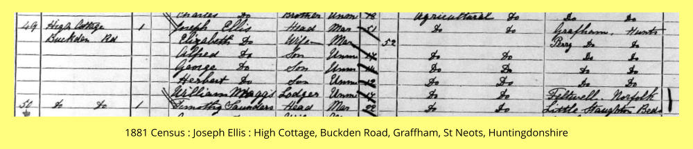 1881 Census : Joseph Ellis : High Cottage, Buckden Road, Graffham, St Neots, Huntingdonshire