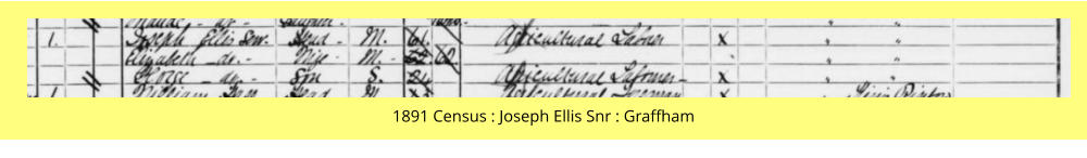 1891 Census : Joseph Ellis Snr : Graffham