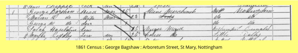 1861 Census : George Bagshaw : Arboretum Street, St Mary, Nottingham