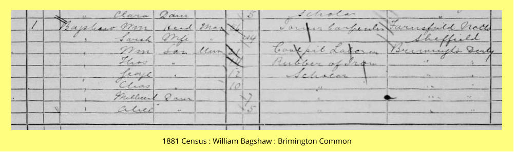 1881 Census : William Bagshaw : Brimington Common