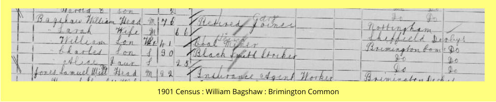 1901 Census : William Bagshaw : Brimington Common