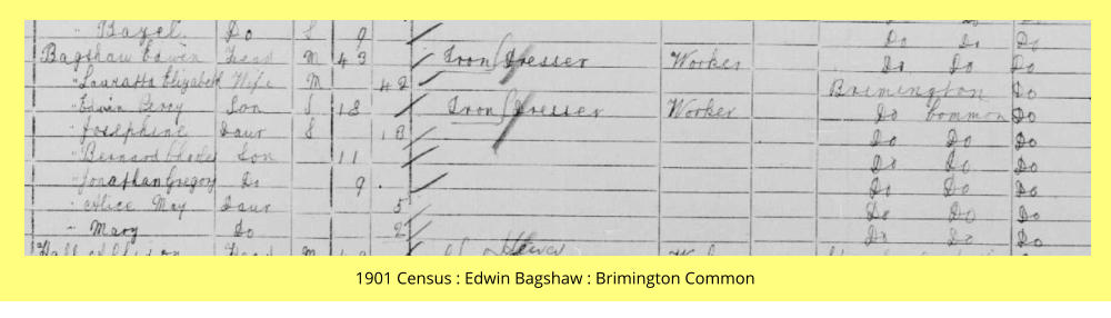 1901 Census : Edwin Bagshaw : Brimington Common