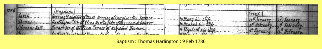 Baptism : Thomas Harlington : 9 Feb 1786