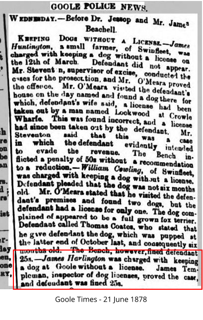 Goole Times - 21 June 1878