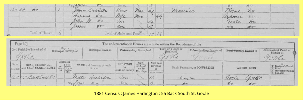 1881 Census : James Harlington : 55 Back South St, Goole