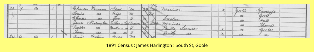 1891 Census : James Harlington : South St, Goole
