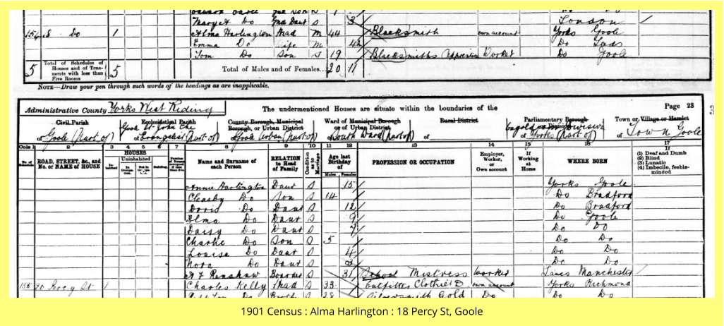 1901 Census : Alma Harlington : 18 Percy St, Goole