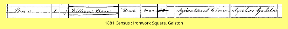 1881 Census : Ironwork Square, Galston