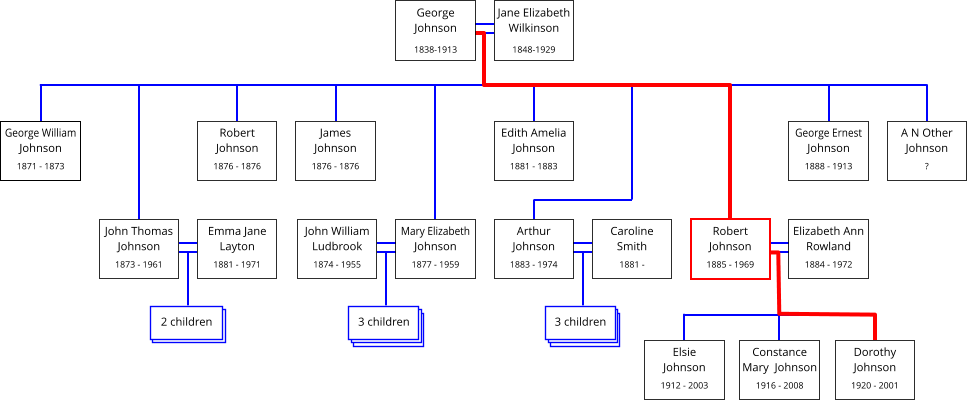 Elsie      Johnson  1912 - 2003    Constance Mary  Johnson  1916 - 2008    Elizabeth Ann   Rowland  1884 - 1972    Caroline Smith  1881 -     Arthur   Johnson  1883 - 1974    3 children  3 children  Mary Elizabeth   Johnson  1877 - 1959    John William Ludbrook  1874 - 1955    Emma Jane Layton  1881 - 1971    John Thomas   Johnson  1873 - 1961    2 children  George William   Johnson  1871 - 1873    Robert   Johnson  1876 - 1876    James  Johnson  1876 - 1876    Edith Amelia   Johnson  1881 - 1883    George Ernest   Johnson  1888 - 1913    A N Other   Johnson  ?    Jane Elizabeth Wilkinson  1848-1929      George Johnson  1838-1913      Robert   Johnson  1885 - 1969    Robert   Johnson  1885 - 1969    Dorothy   Johnson  1920 - 2001