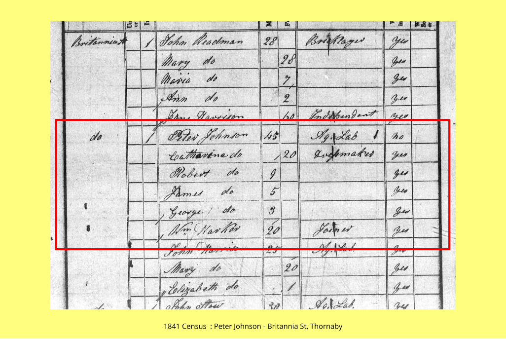 1841 Census  : Peter Johnson - Britannia St, Thornaby