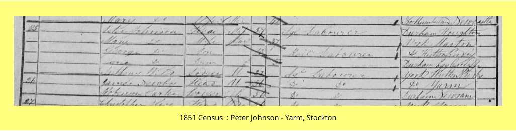 1851 Census  : Peter Johnson - Yarm, Stockton