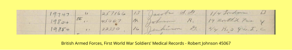 British Armed Forces, First World War Soldiers’ Medical Records - Robert Johnson 45067