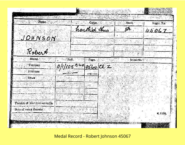 Medal Record - Robert Johnson 45067