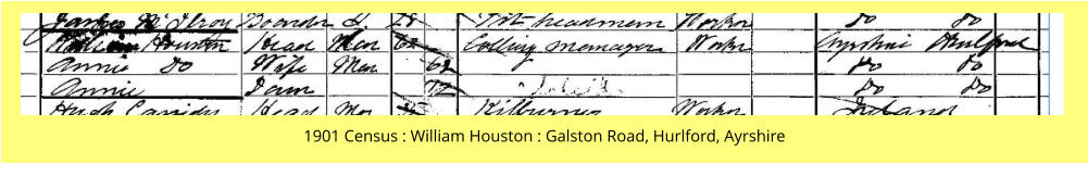 1901 Census : William Houston : Galston Road, Hurlford, Ayrshire