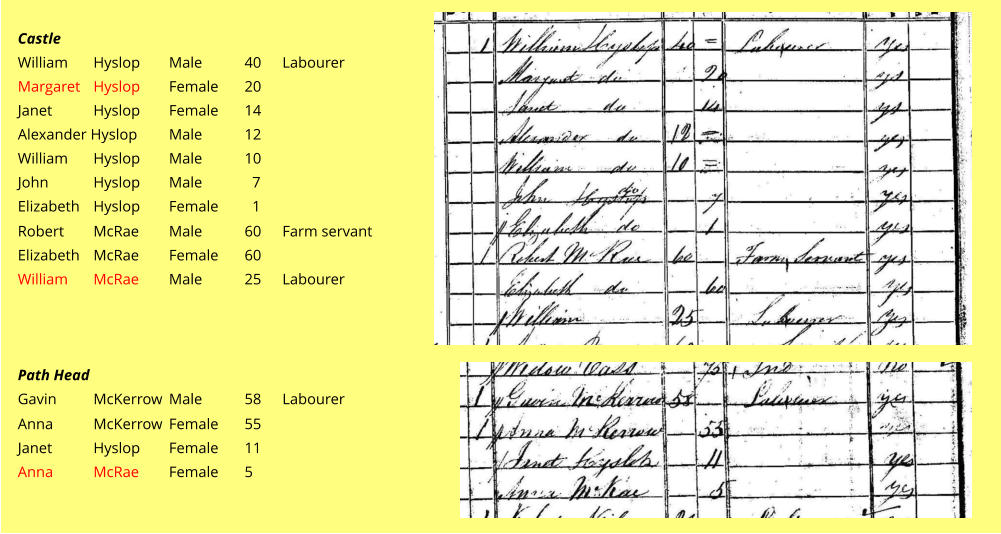 Castle William 	Hyslop	Male		40	Labourer		 Margaret 	Hyslop	Female	20	 Janet		Hyslop	Female	14 Alexander Hyslop	Male		12 William 	Hyslop	Male		10 John		Hyslop	Male		  7 Elizabeth	Hyslop	Female	  1	  Robert	McRae	Male		60	Farm servant	 Elizabeth	McRae	Female	60				 William	McRae	Male		25	Labourer			    Path Head Gavin	McKerrow	Male		58	Labourer  Anna		McKerrow	Female	55				 Janet		Hyslop	Female	11				 Anna		McRae	Female	5