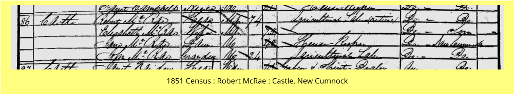 1851 Census : Robert McRae : Castle, New Cumnock