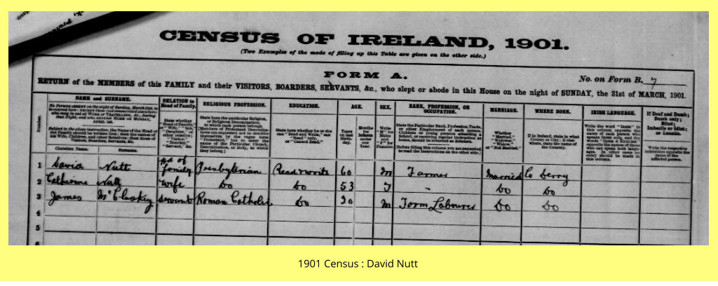 1901 Census : David Nutt