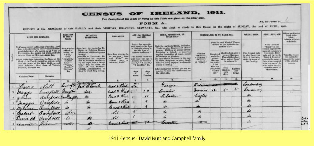 1911 Census : David Nutt and Campbell family