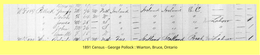1891 Census - George Pollock : Wiarton, Bruce, Ontario