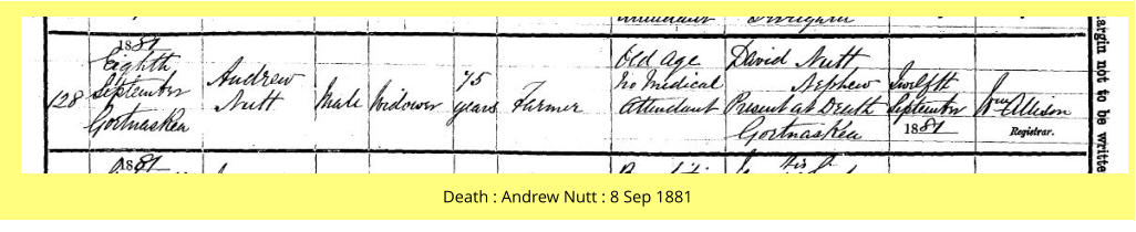 Death : Andrew Nutt : 8 Sep 1881