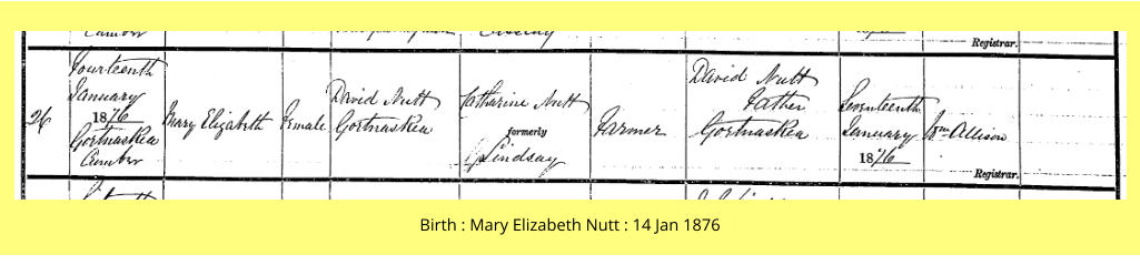 Birth : Mary Elizabeth Nutt : 14 Jan 1876