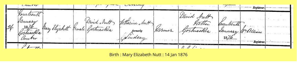 Birth : Mary Elizabeth Nutt : 14 Jan 1876