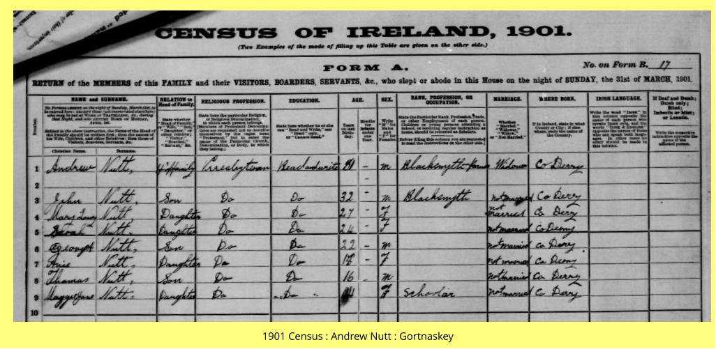 1901 Census : Andrew Nutt : Gortnaskey