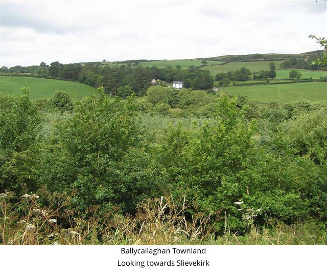 Ballycallaghan Townland Looking towards Slievekirk