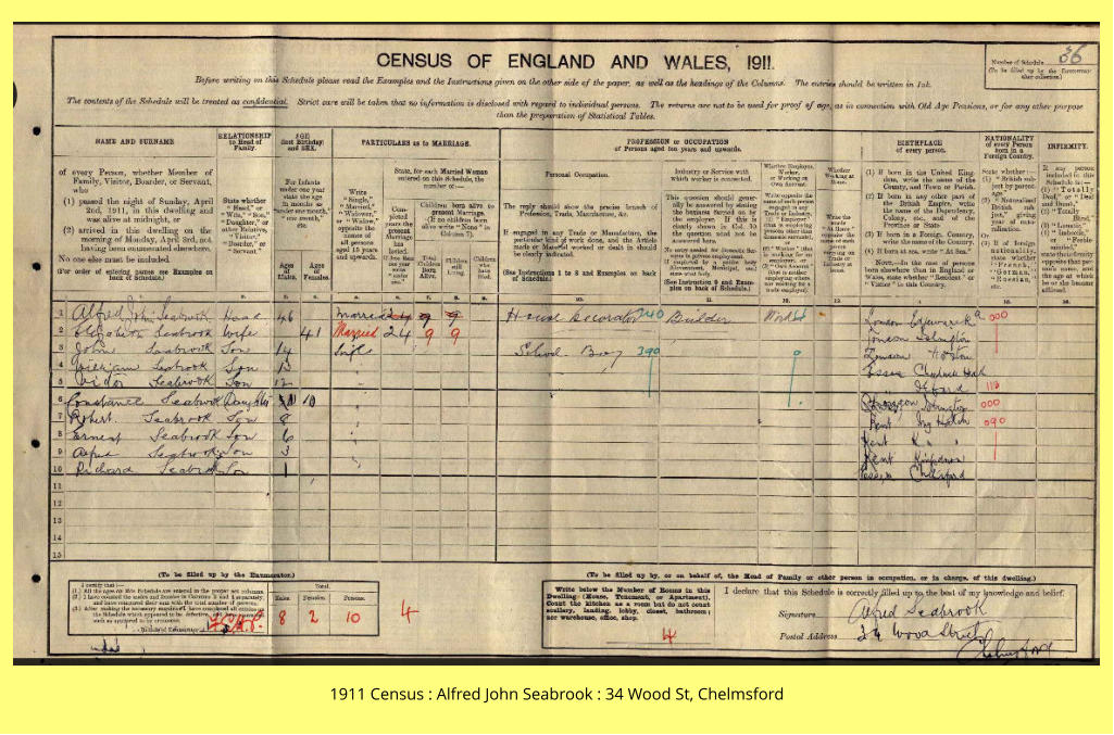 1911 Census : Alfred John Seabrook : 34 Wood St, Chelmsford