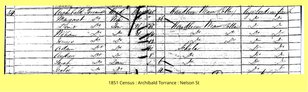 1851 Census : Archibald Torrance : Nelson St