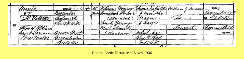 Death : Annie Torrance : 16 Nov 1906