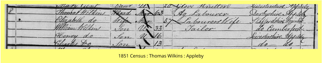 1851 Census : Thomas Wilkins : Appleby