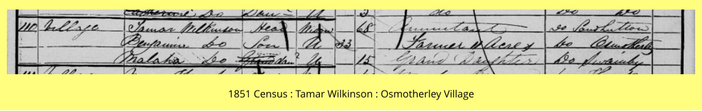 1851 Census : Tamar Wilkinson : Osmotherley Village