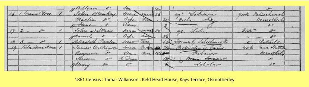 1861 Census : Tamar Wilkinson : Keld Head House, Kays Terrace, Osmotherley