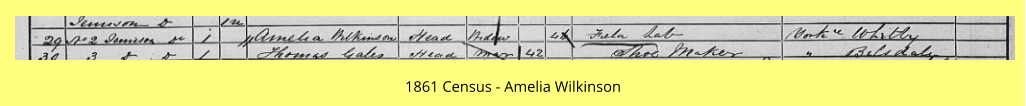 1861 Census - Amelia Wilkinson